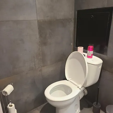 Gare - Elegant Pour Pros Ou Touristes Apartment Chambery